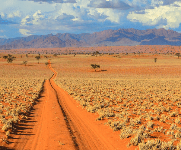 viaggio-self-drive-in-namibia-con-AfroNine